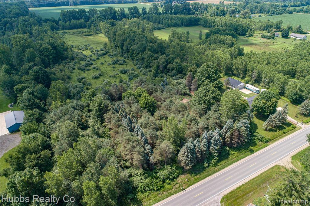 9361 Birch Run Rd, Millington, MI 48746 — Photo 5