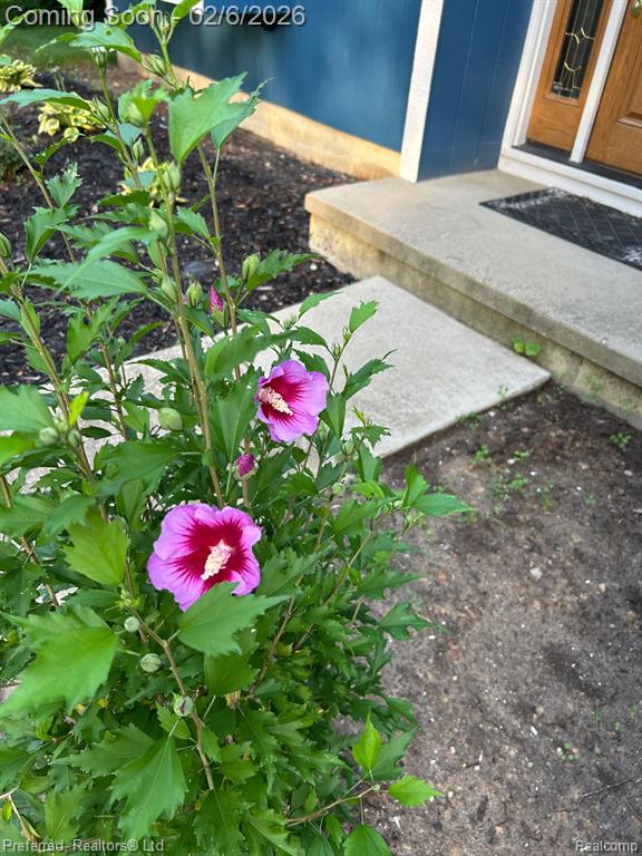 5736 Rothbury Court, Ypsilanti, MI 48197 — Photo 29