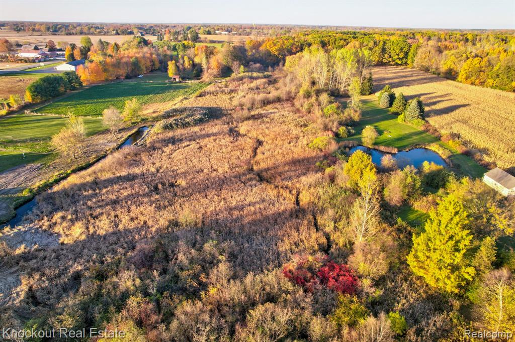 4690 Birch Run Road, Millington, MI 48746 — Photo 25