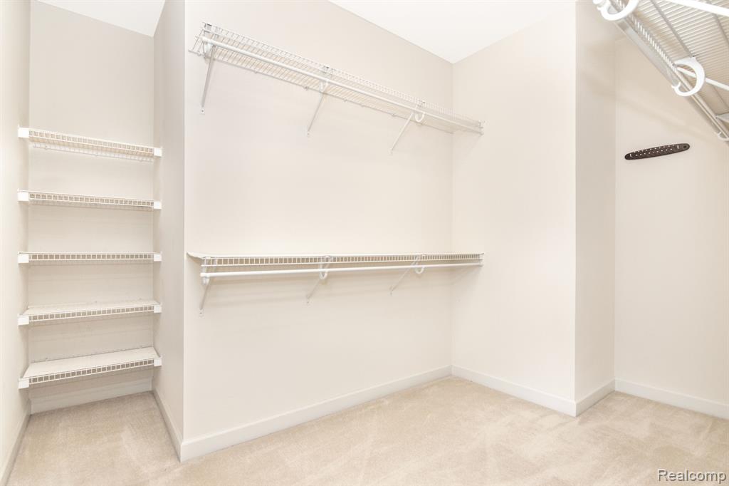 2481 ANDREW THOMAS Trail, Ann Arbor, MI 48103 — Photo 34