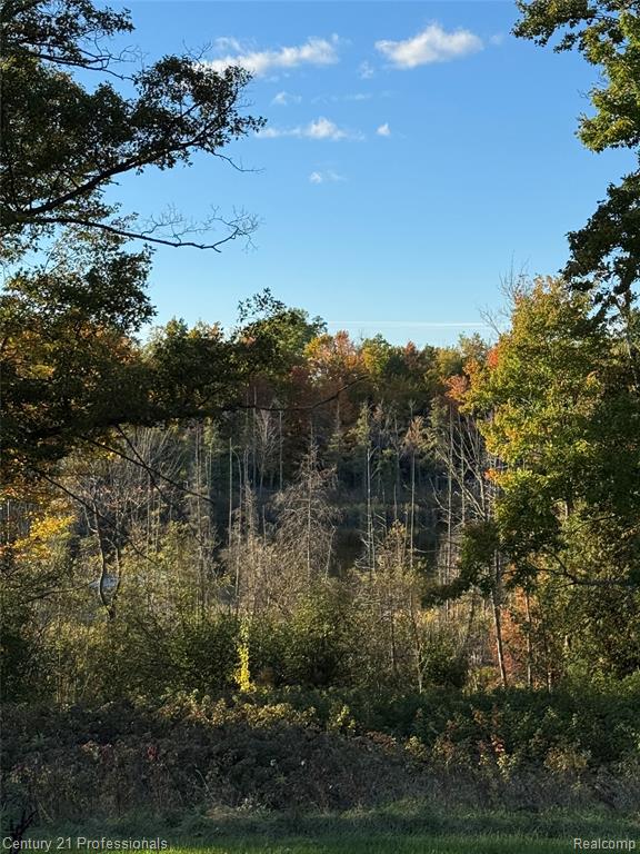3608 S State, Glennie, MI 48737 — Photo 13
