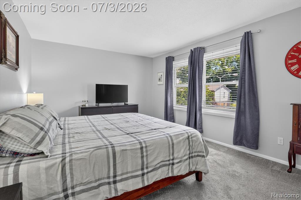 13274 Lake Point Boulevard, Belleville, MI 48111 — Photo 25