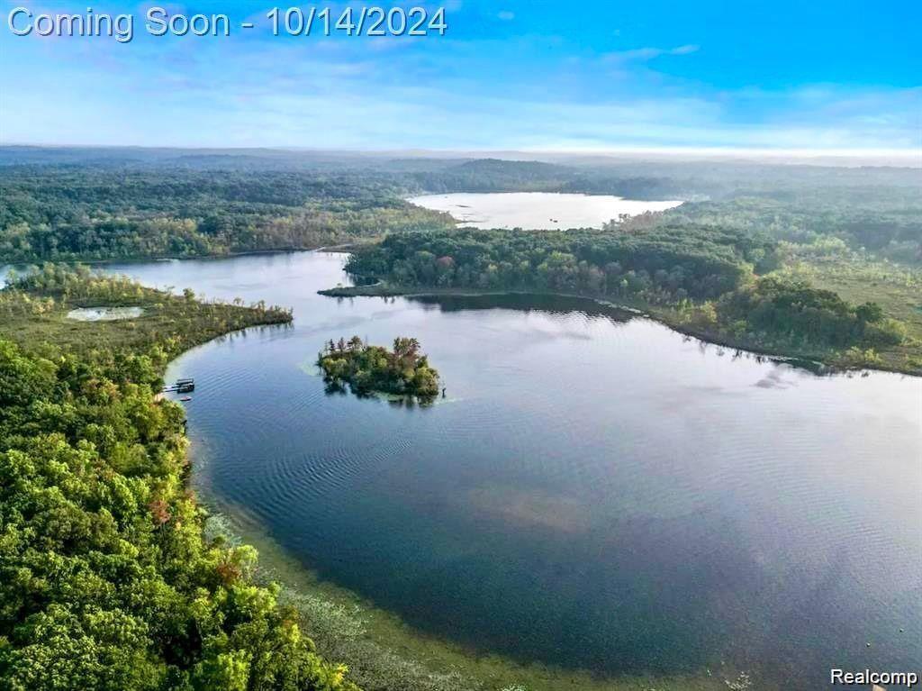 11765 PATTERSON LAKE Drive, Pinckney, MI 48169 — Photo 16