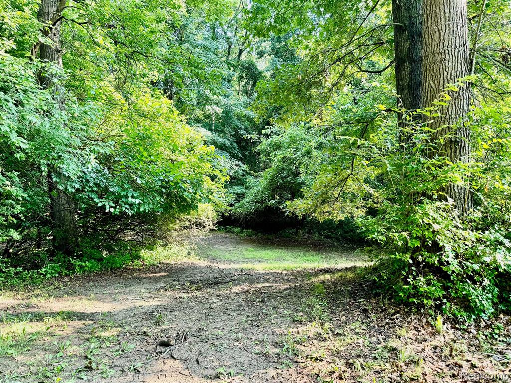 4111 BLOOD Road, Metamora, MI 48455 — Photo 55