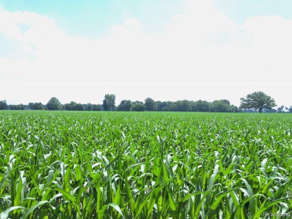 AUCTION Lot# 7 10 acres Capac Road, Capac, MI 48014 — front exterior