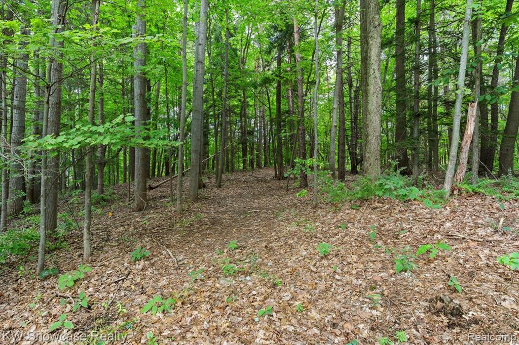 7950 Clement Road, Clarkston, MI — Photo 29