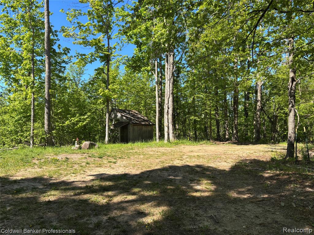 11560 Ashman Hill Road, Boyne Falls, MI 49713 — Photo 22