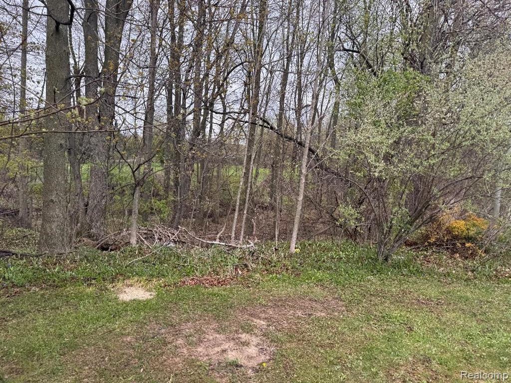 687 W Saginaw Road, Mayville Vlg, MI 48744 — Photo 10