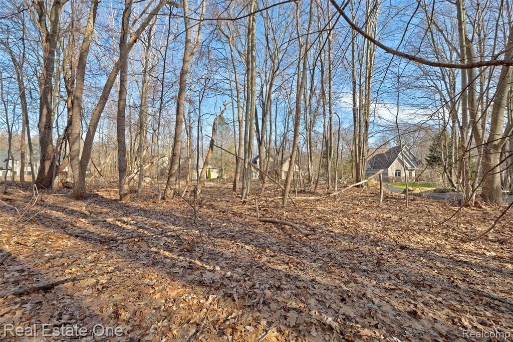 9889 Kingston Ridge, Clarkston, MI 48348 — Photo 25