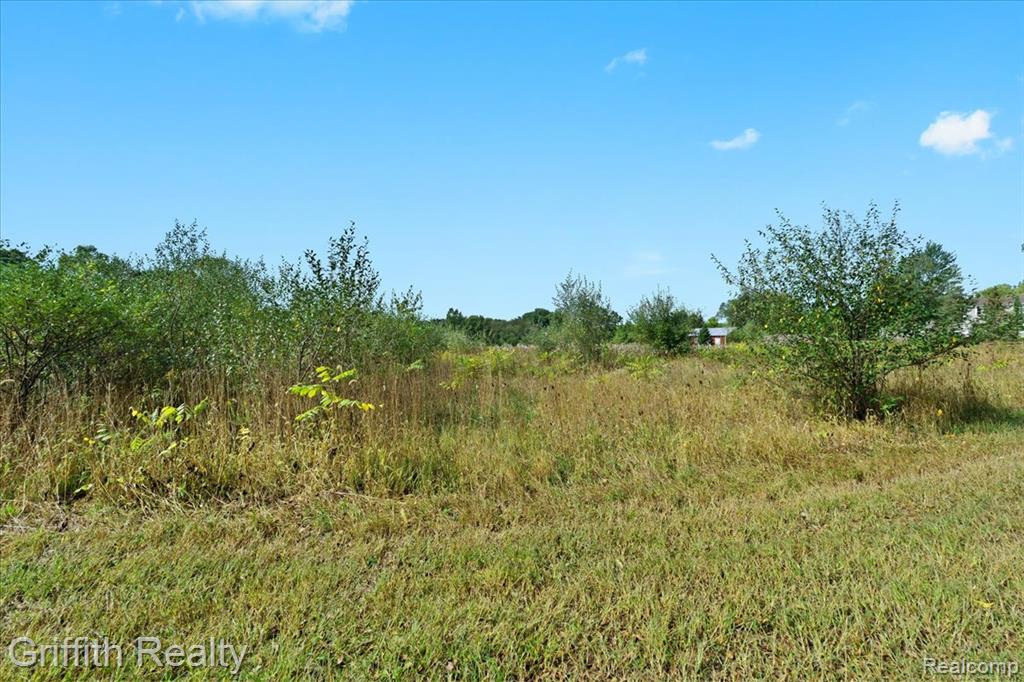 9800 Beeman Road, Chelsea, MI 48118 — Photo 2