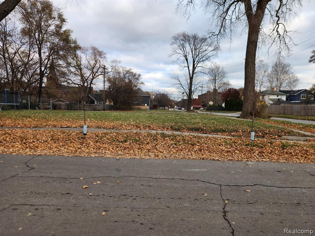 1408 LANSING, Detroit, MI 48209 — Photo 5