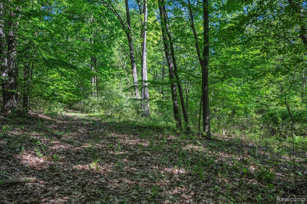 6250 Stine Road, Imlay City, MI 48444 — Photo 60