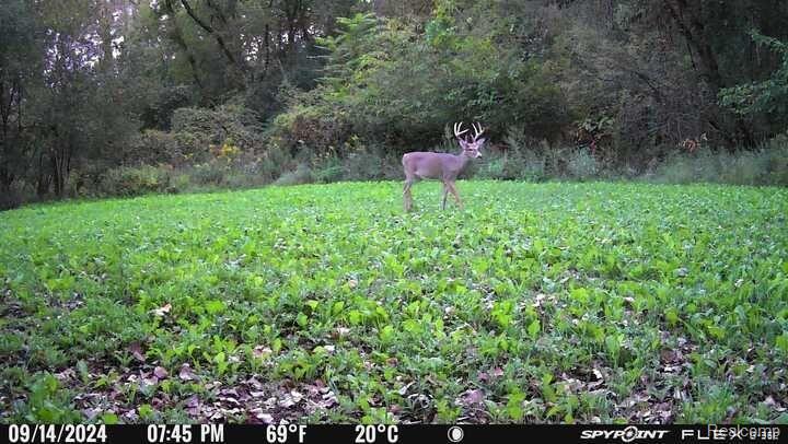 V/L BLAKE Road, Jackson, MI 49201 — Photo 96