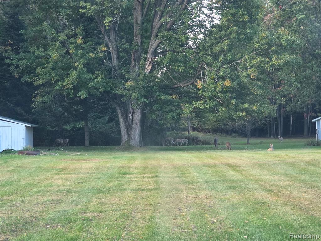 1647 Boy Scout Road, Caro, MI 48723 — Photo 11
