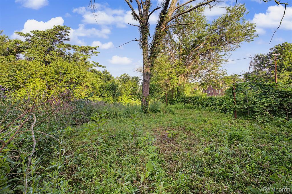 9275 Appoline Street, Detroit, MI 48228 — Photo 17