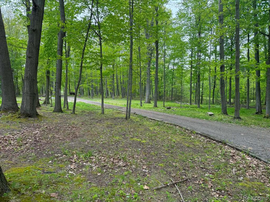 5994 N Lake Sanford Road, Sanford, MI 48657 — Photo 27