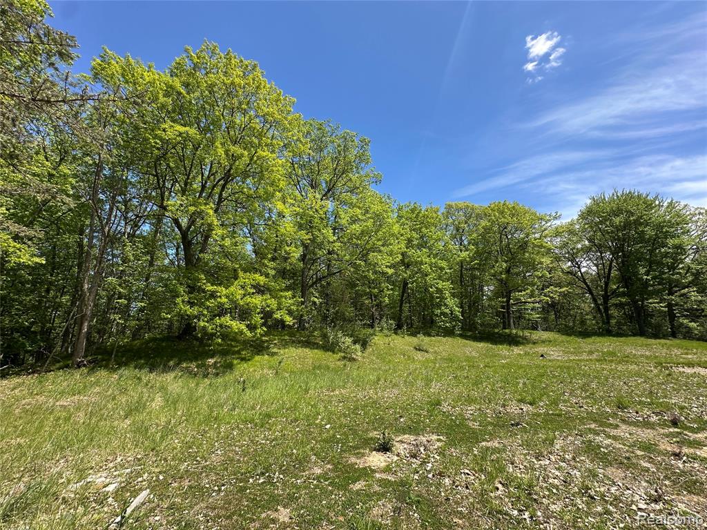 6727 Sherman Street, Otter Lake, MI 48464 — Photo 14