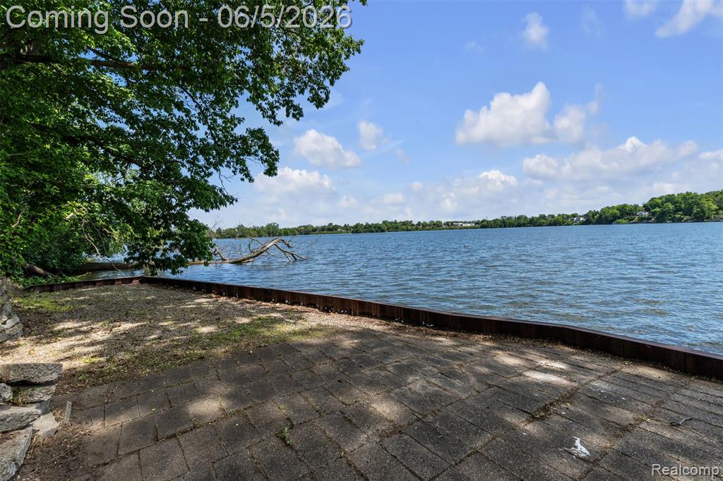 47435 N Shore Drive, Belleville, MI 48111 — Photo 56
