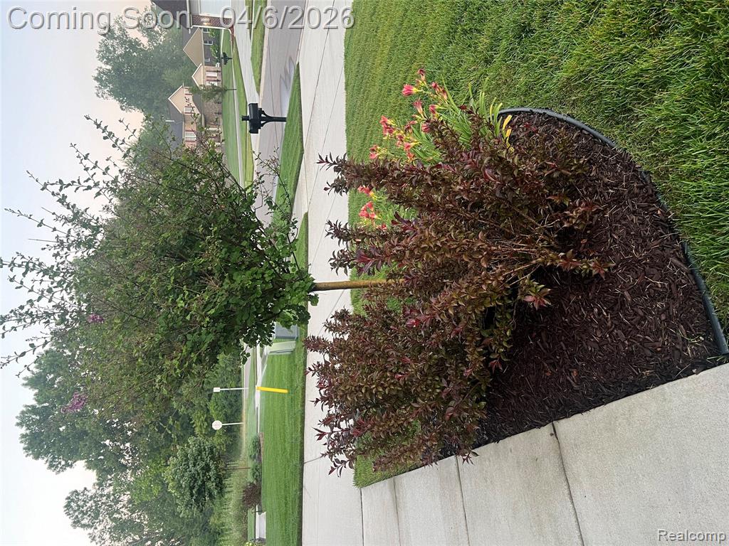 42991 Colonial Road, Belleville, MI 48111 — Photo 58
