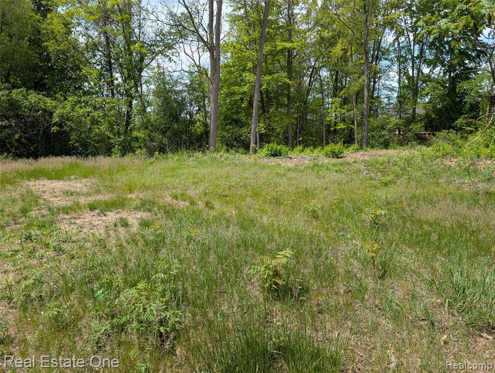 508 Woodstone Court, White Lake, MI — Photo 5