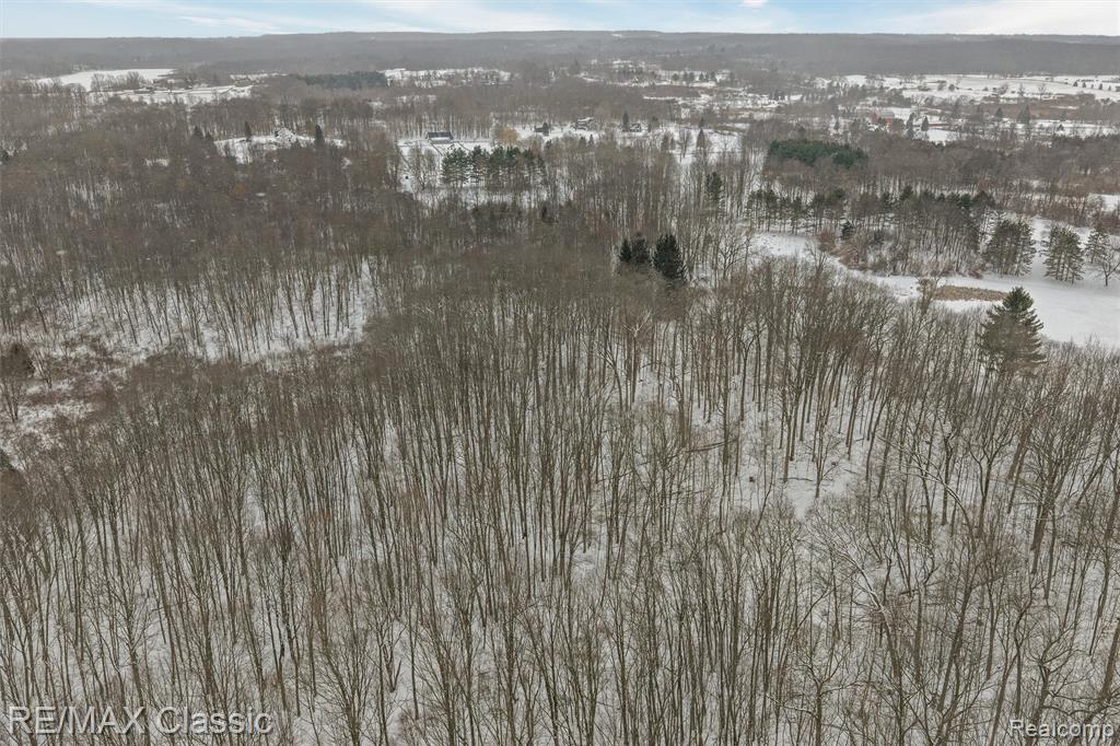 3737 Rock Valley, Metamora, MI 48455 — Photo 9