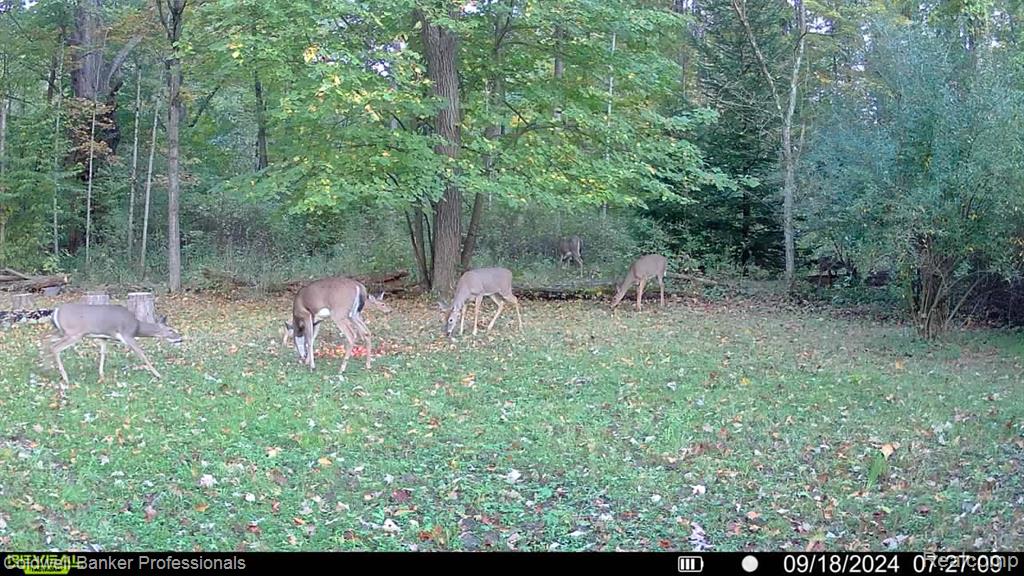 VL Rattle Run Road, St. Clair, MI 48079 — Photo 28
