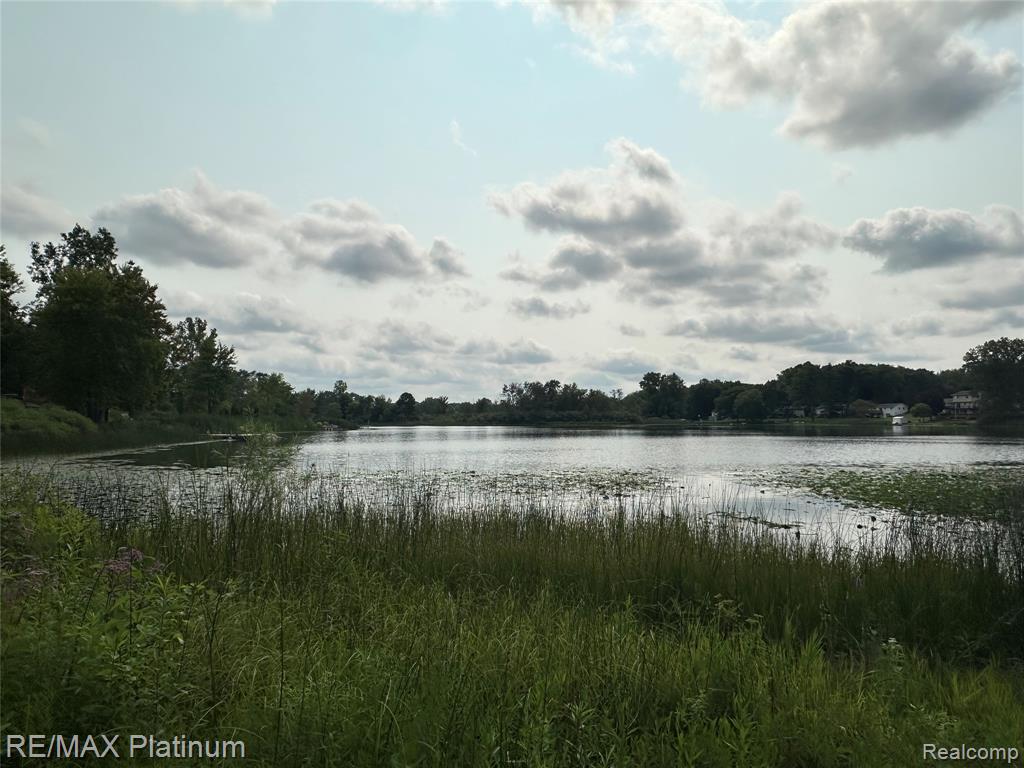 W Peterson Drive, Brighton, MI 48114