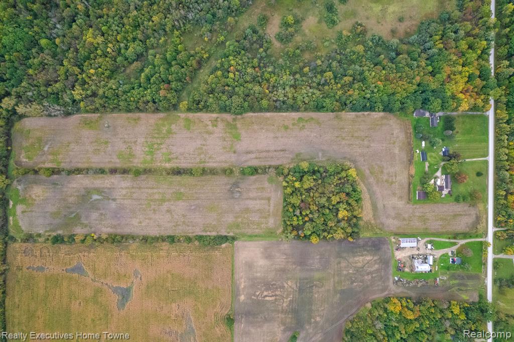12972 NORMAN Road, Brockway, MI 48097 — Photo 5