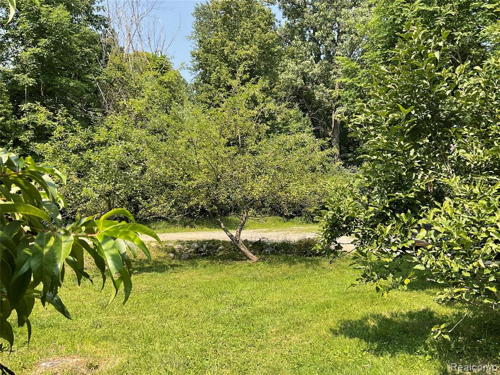 3425 Sutton Road, Dryden, MI 48428 — Photo 37