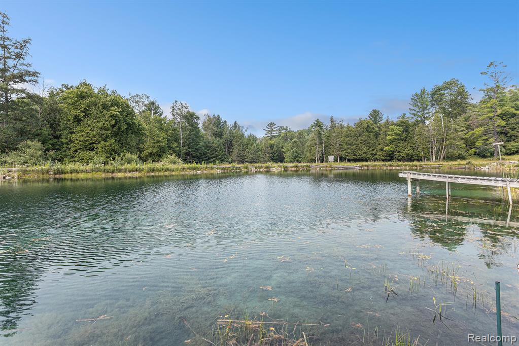 808 S Dow Road, MI 48661 — Photo 3