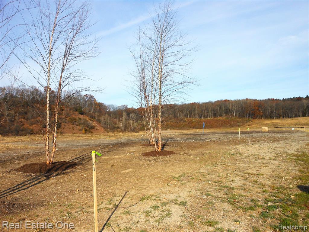 6 Park Ridge Road, White Lake, MI — Photo 27