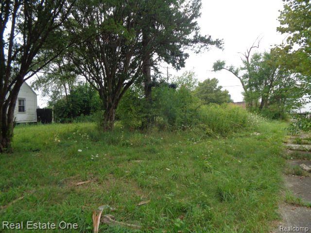 13281 GABLE Street, Hamtramck, MI, 48212