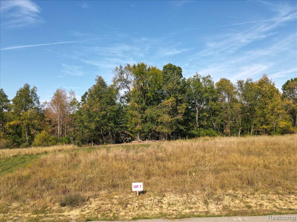 4070 Metamora Ridge, Metamora, MI 48455 — Photo 39