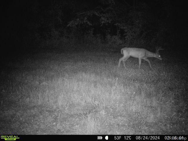 V/L BLAKE Road, Jackson, MI 49201 — Photo 83