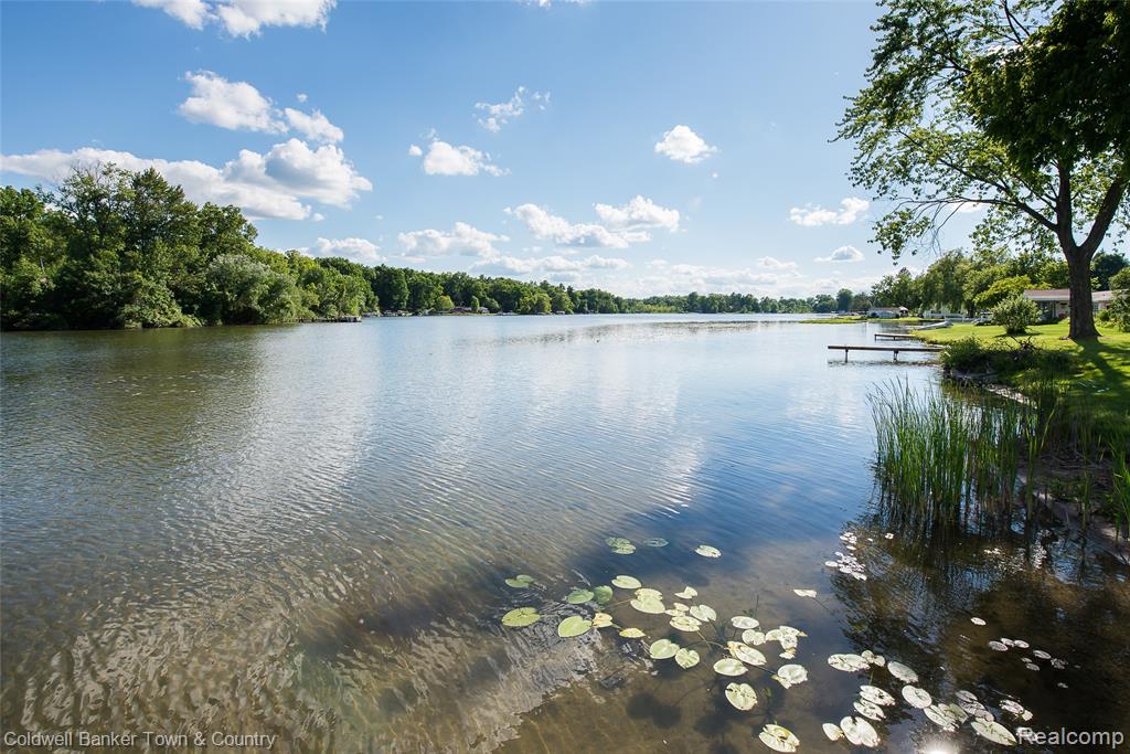 11634 Island Court, Hartland, MI 48353 — Photo 9