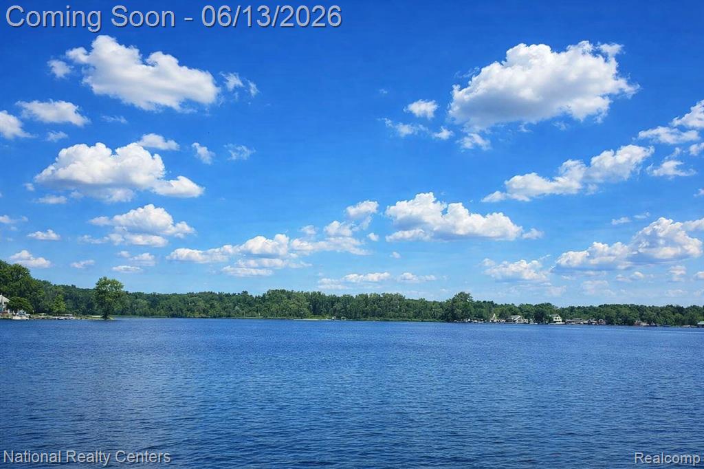 7451 Garland Avenue, Brighton, MI 48116 — Photo 4