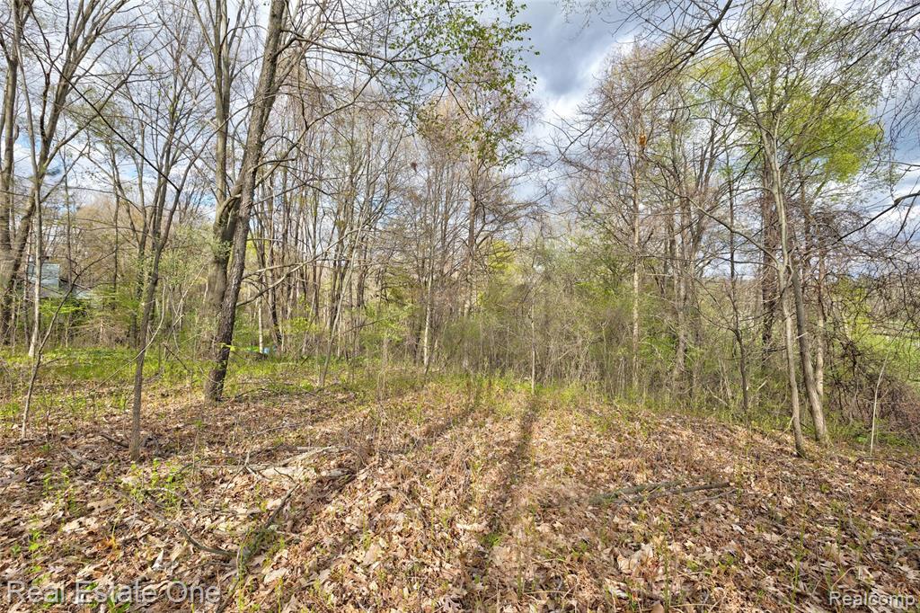 590 Judi Ann Lane, Holly, MI 48442 — Photo 31