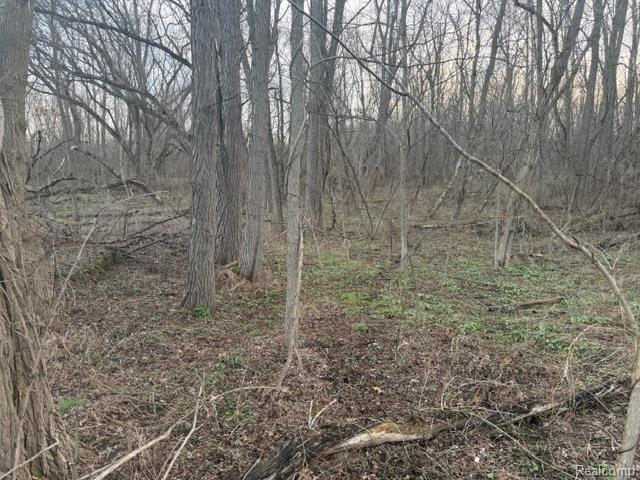 3940 Demode Road, Holly, MI 48442 — Photo 3