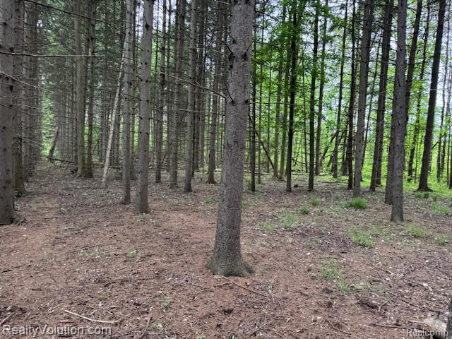 5152 Columbiaville Road, Columbiaville, MI 48421 — Photo 20