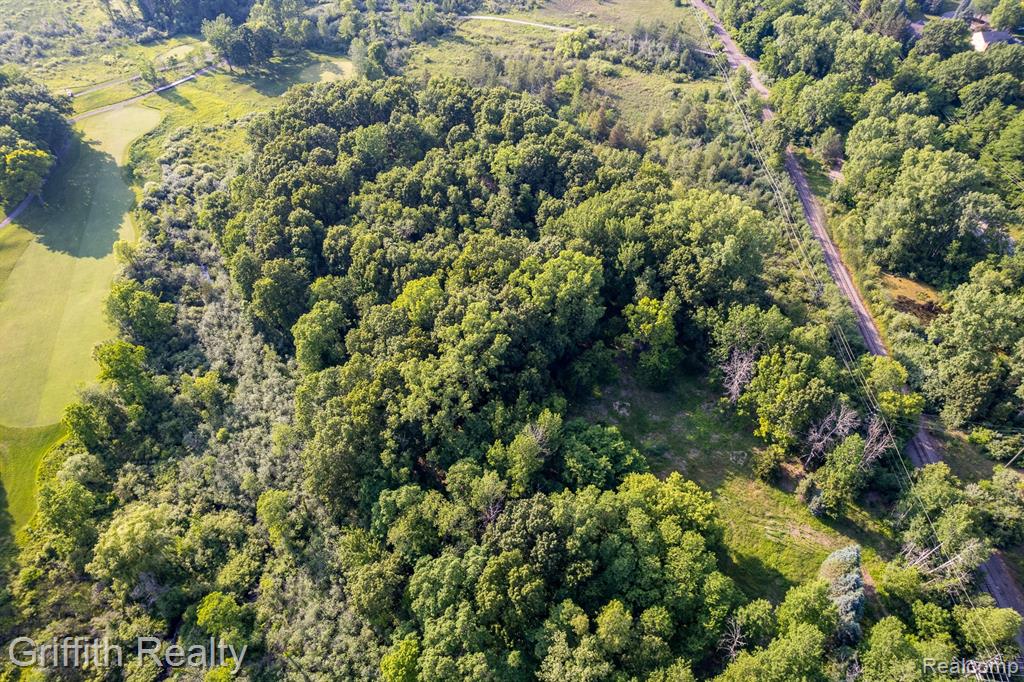 4433 Brighton Parcel B Road, Howell, MI 48843 — Photo 18