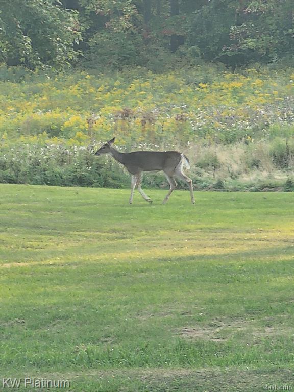 8060 Brockway Road, Melvin, MI 48454 — Photo 35