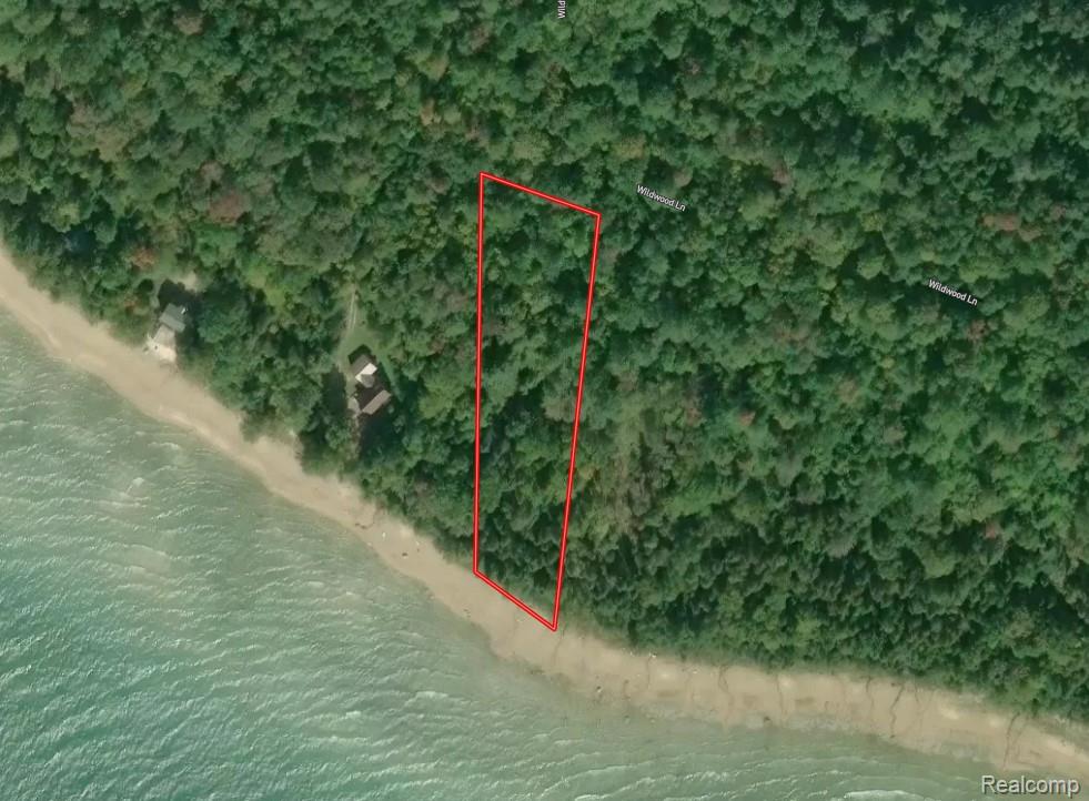 4511 Shore Road, Moran, MI 49760 — front exterior