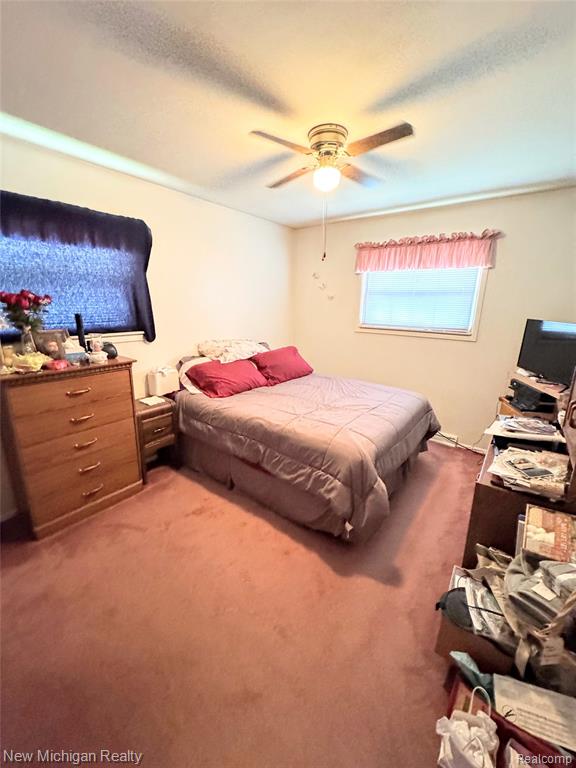 533 Poplar Street, Clio, MI 48420 — Photo 19