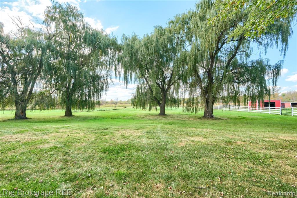 8171 N Linden Road, Mount Morris, MI 48458 — Photo 8
