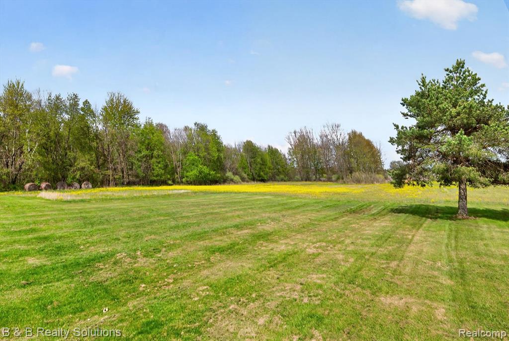 2927 N Blacks Corners Road, Imlay City, MI 48444 — Photo 43