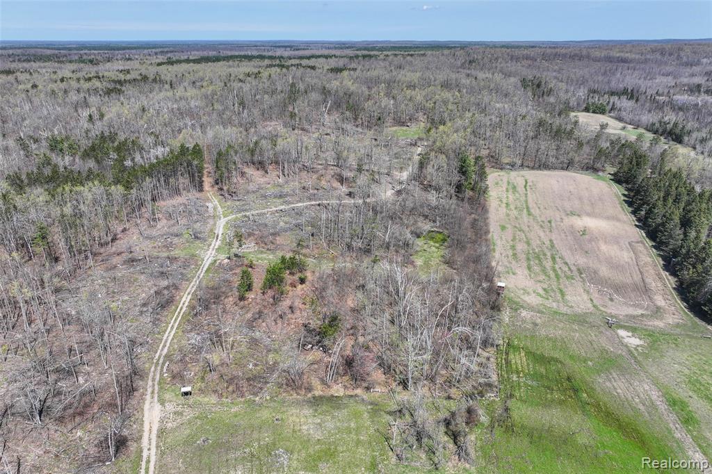 1064 W Helmer Lake Road, Mio, MI 48647 — Photo 48