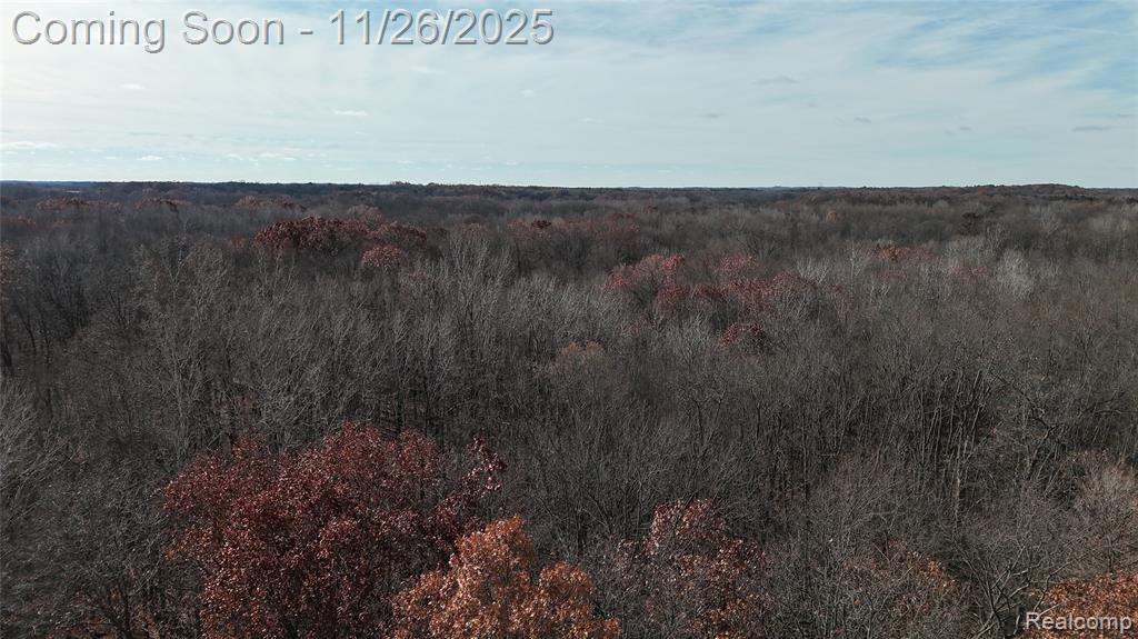 9300 Bath Road, Laingsburg, MI 48848 — Photo 23