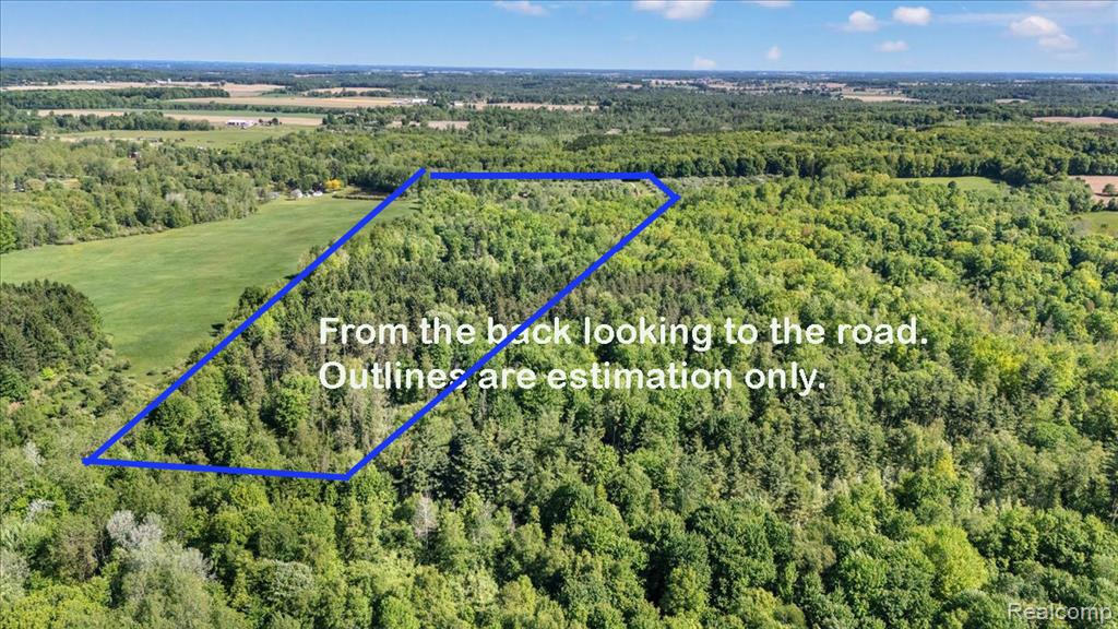 6250 Stine Road, Imlay City, MI 48444 — Photo 5