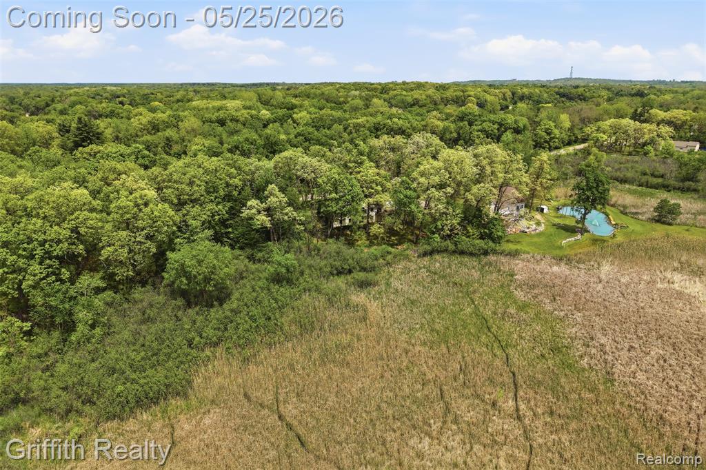 10232 Spencer Road, Brighton, MI 48114 — Photo 53