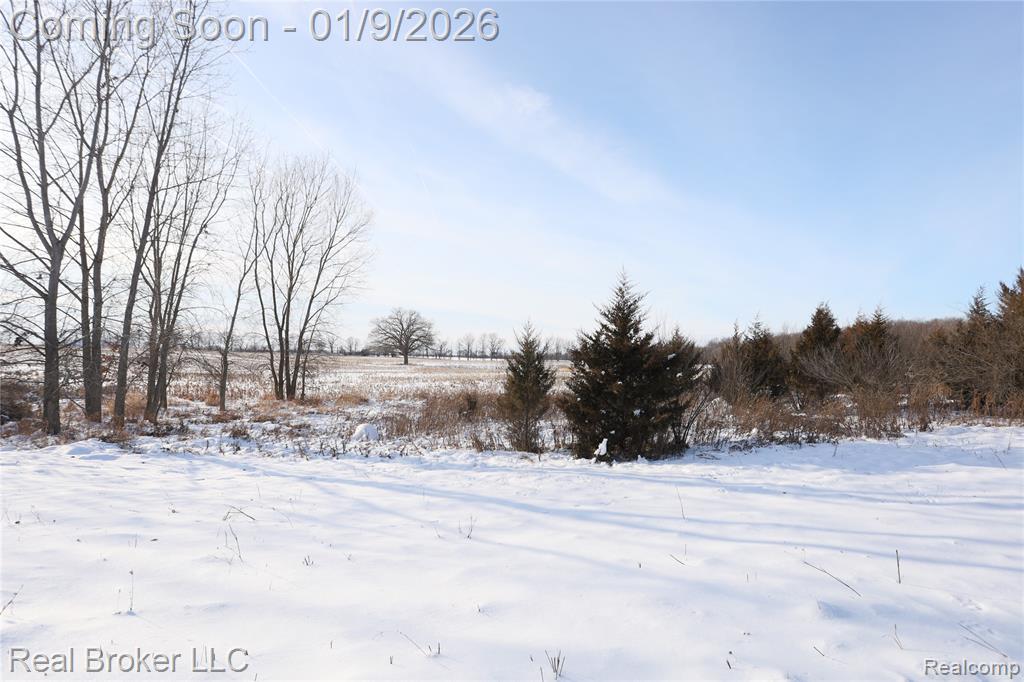 6640 Lemon Road, Bancroft, MI 48414 — Photo 38